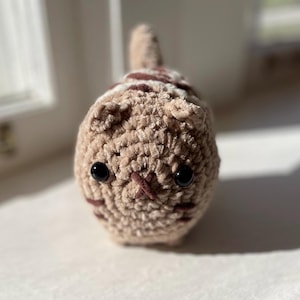Mini Cinnamon Roll Cat