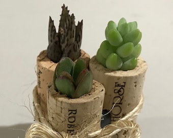 Succulent Wine Cork Magnet Trio - Cactus, Air Plants, Haworthia, Variety Mix - WINE CORK MAGNETS - Wedding, Event Favor, Guest Favors