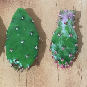 May include: Four green prickly pear cactus pads, each with a different pattern and texture. The pads are arranged horizontally on a wooden surface.
