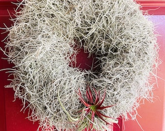 Live Spanish Moss Air Plant Wreath - 15" or 8" Living Decorative Accent - Home, Office, Room, School, Cubicle, Decor, Housewarming, Gift