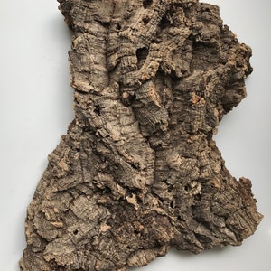 May include: A piece of natural cork bark with a rough, textured surface. The bark is brown and has a variety of shapes and sizes.