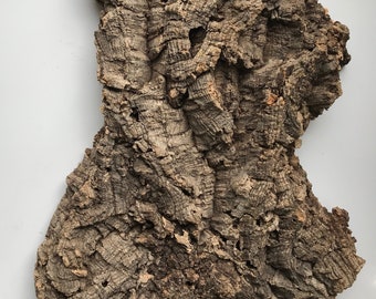 Natural Cork Bark Wood Panel Display with D Ring Hanger Hook - Ready to Hang Rustic - 10", 6" & 4" Available