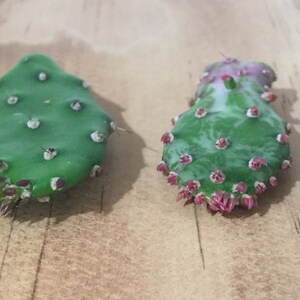 May include: Four different types of cactus plants with green, white, and pink colours. The cactus plants are on a wooden surface.