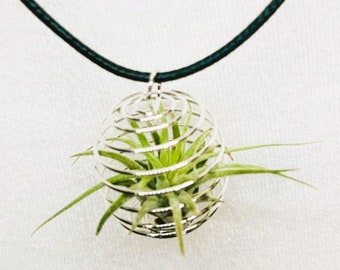 Live Air Plant Charm Necklace - Round Spiral Shape Pendant with Living Tillandsia Air Plant - Unique Gift, Jewelry, Hanging Decor, Plant Mom