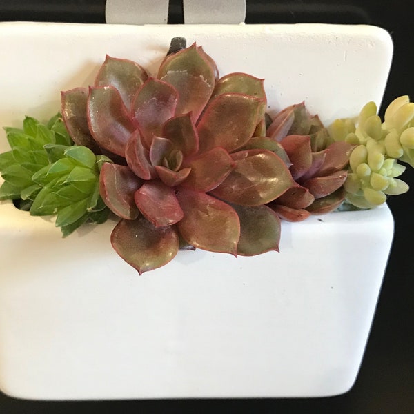 Cubicle Wall Planter Etsy