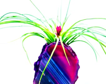 Pink and Strip Agate Geode Crystal Air Plant Planter