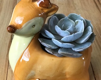 Succulent Deer Ceramic Planter Pot - LIMITED QUANTITY - Live Echeveria Plant, Animal, Gift