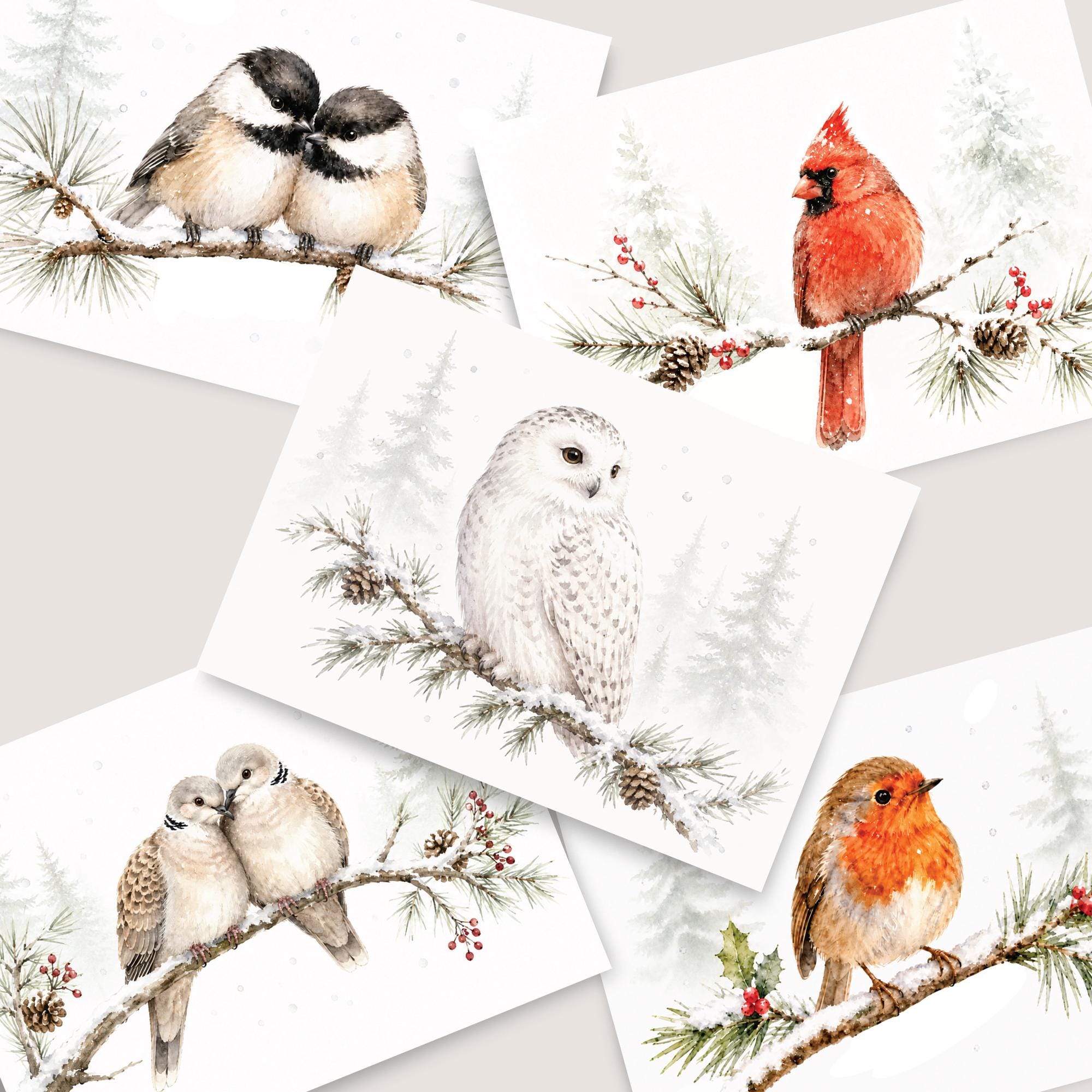 Winter Birds Watercolor Cards: Cardinal, Robin, Owl, Chickadees, Doves Christmas Card Bird Set