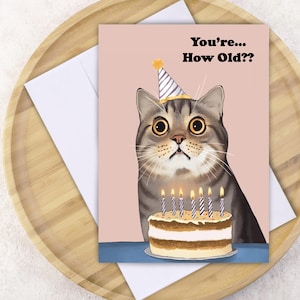 Funny Cat Birthday Card for Cat Mom Gift Idea for Cat Lover Personalize Greeting Card Cat Themed Birthday Party Old People Jokes About Aging