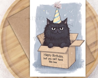Black Cat Birthday Card for Animal Lovers Funny Birthday Card Cat Themed Gift Cute Cat Pet Greetings Cat in a Box Sarcastic Funny Cat Card
