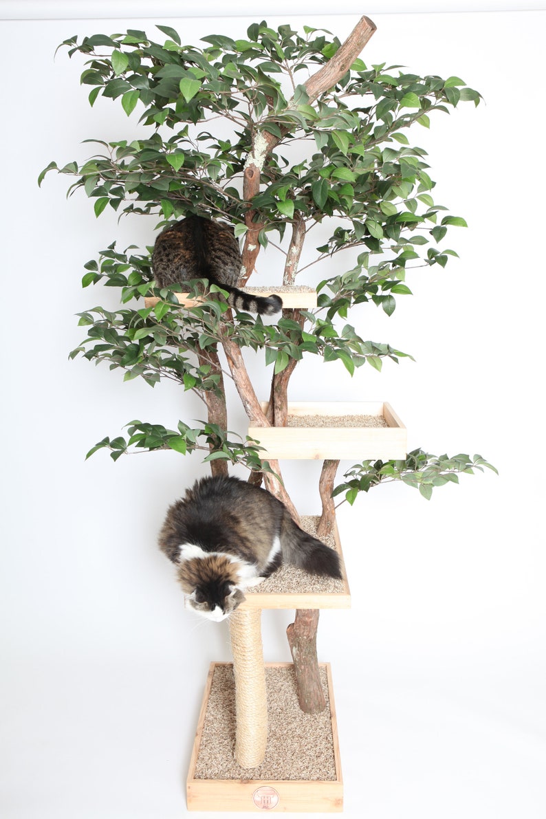 Sycamore Cat Pet Tree House image 5