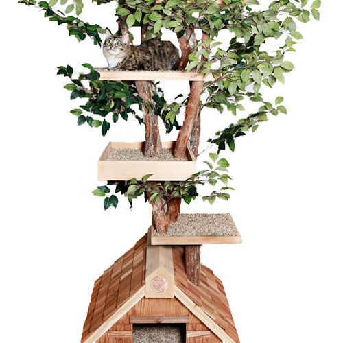 Mature large Cat Tree House Etsy