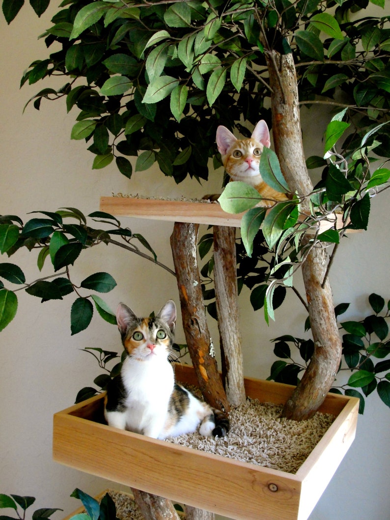 Sycamore Cat Pet Tree House image 4