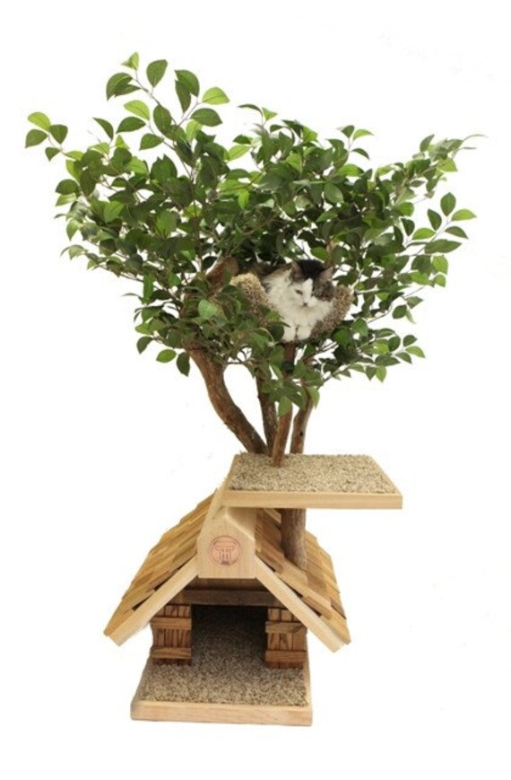 Sapling small Cat Tree House Etsy