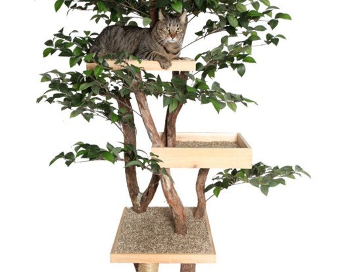 Sycamore Cat Pet Tree House Etsy