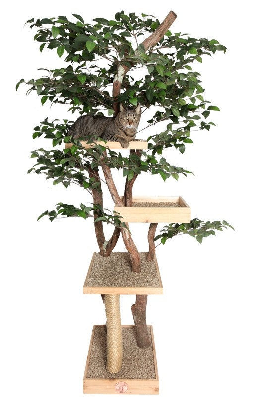 cat tree with plants