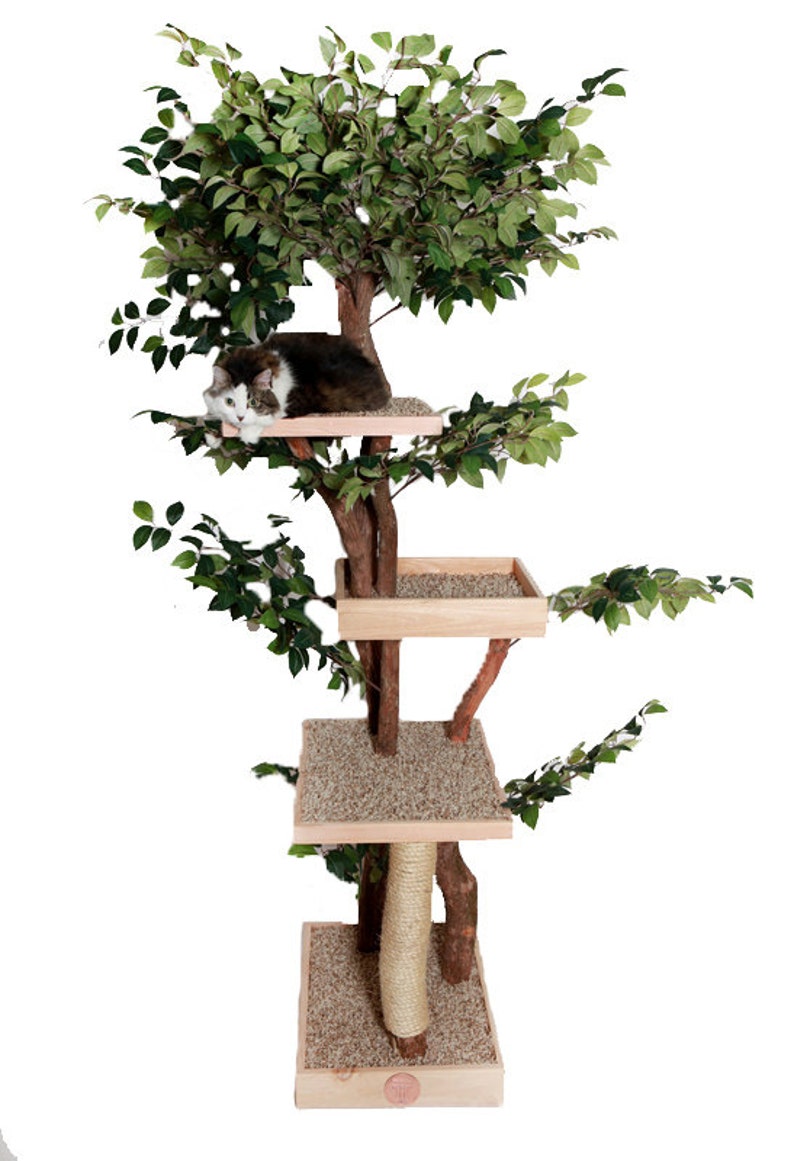 Sycamore Cat Pet Tree House Etsy