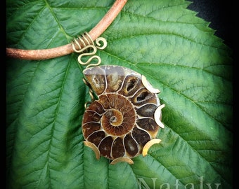 Wire Wrapped Pendant, Fossil Necklace, Ammonite Necklace, Leather Choker Necklace Gemstone Necklace, Boho Necklace for Women, Shell Necklace