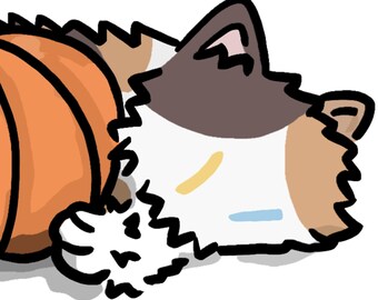 Op de afbeelding: Een cartoon illustratie van een kat opgerold naast een oranje pompoen. De kat heeft bruin, bruin en wit haar. De pompoen is oranje met een groene stengel. De afbeelding staat tegen een witte achtergrond.