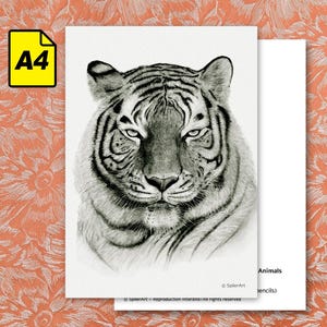 Carte A4 - Portraits d'animaux en voie de disparition - Tigre