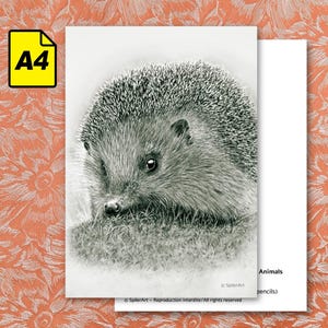 Carte A4 - Portraits d'animaux en voie de disparition - Hérisson