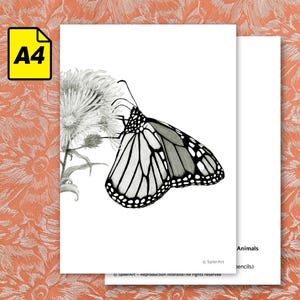 Carte A4 - Portraits d'animaux en voie de disparition - Papillon Monarque