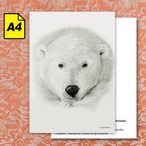 Carte A4 - Portraits d'animaux en voie de disparition - Ours polaire