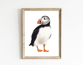 Colourful Puffin Art Print: Minimalist Wildlife Bird Illustration