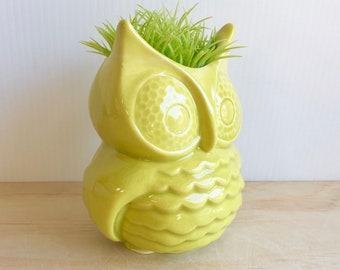 Owl Planter, Green Owl, Succulent, Desk Plant, Office Gift, Handmade Pottery, Desk Accessory