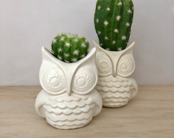 White Owl Ceramic Planter, Succulent Planter, Handmade Pottery, Desk Plant, Office Gift, Desk Accessory