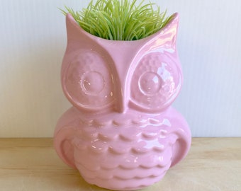 Pink Owl Ceramic Planter, Succulent Planter, Handmade Pottery, Desk Plant, Office Gift, Desk Accessory