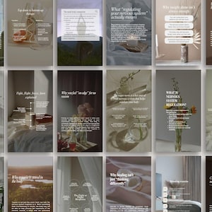May include: A series of Instagram story templates with text discussing the nervous system, body awareness, and healing. The templates use a soft, neutral colour palette, floral arrangements, and minimalist design. Text includes phrases such as "What is Interoception?" and "What regulating your nervous system actually means."