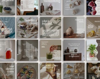 Plantillas de Canva para redes sociales sobre salud intestinal - 50 publicaciones / MRR