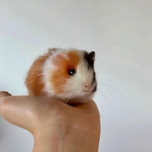 Custom Needle Felted Guinea Pig Loss Memorial Sculpture,Realistic Stuffed Wool Felting Guinea Pig Plush Replica,Guinea Pig Lovers Gift