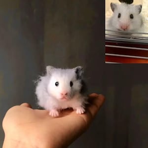 Custom Needle Felted Hamster Sculpture: Pet Memorial Keepsake