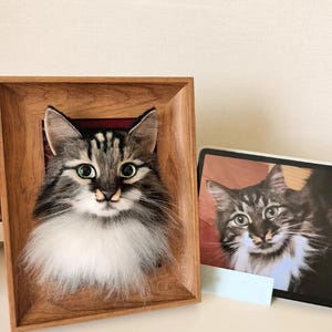 May include: A framed needle felted portrait of a cat with grey and white fur. The cat has green eyes and a white chest. The frame is made of wood and has a dark brown finish.