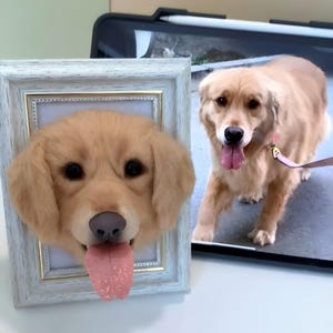 Golden Retriever Custom Wool Felt Pet Dog Portrat in Wooden Frame,Realistic 3D Dog Replica,Needle Felted Animals,Dog Loss Memorial Keepsake