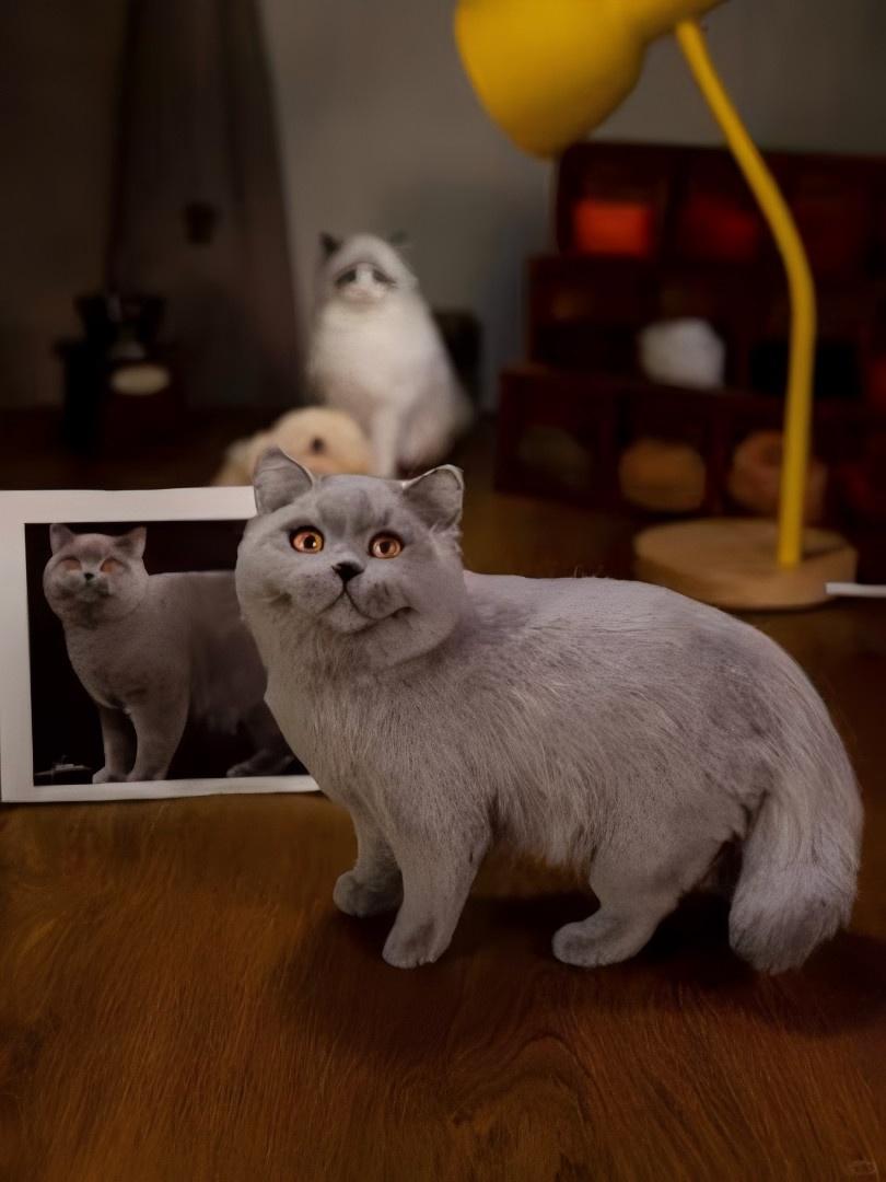 Arlene\" British Shorthair Luxury Plush St￭ Cat – Big Furry Friends