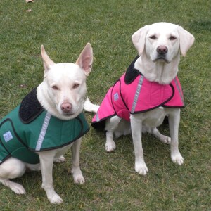Dog Raincoats-ranging from 25 dollars to 55 dollars depending on the size by Doodlebug Duds