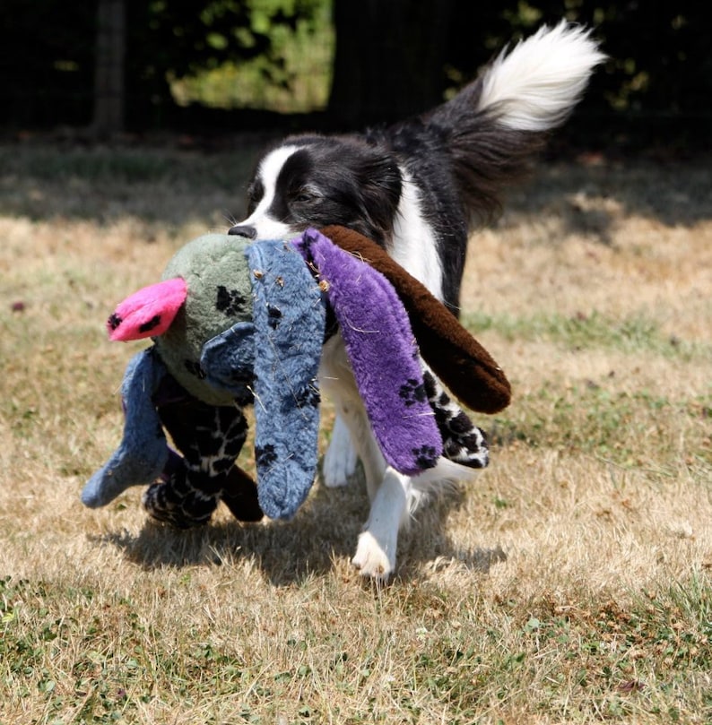 trek deluxe doodlebug