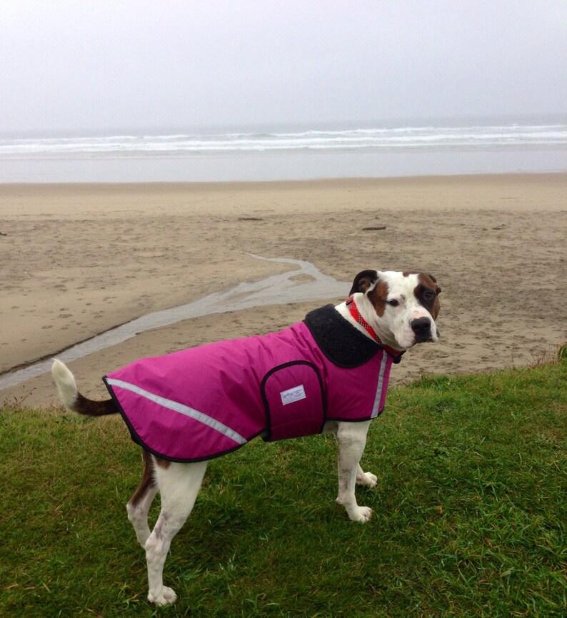 Dog Raincoatsranging From 25 Dollars to 55 Dollars Depending Etsy