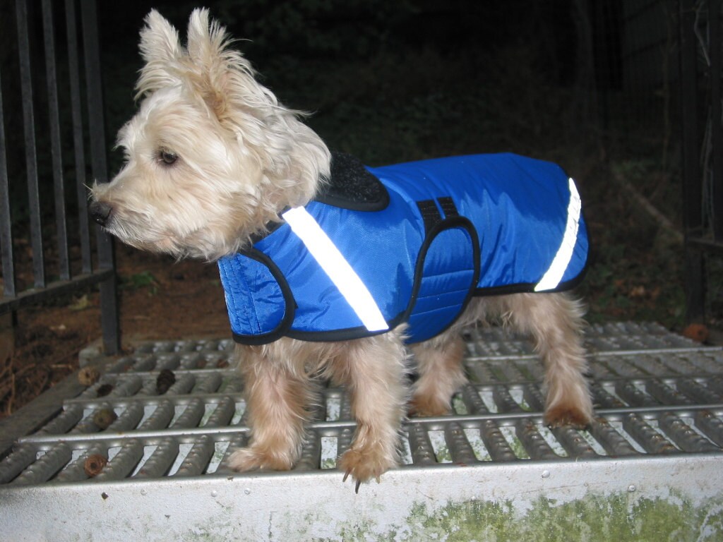 Dog Raincoats-ranging from 25 dollars to 55 dollars depending on the …