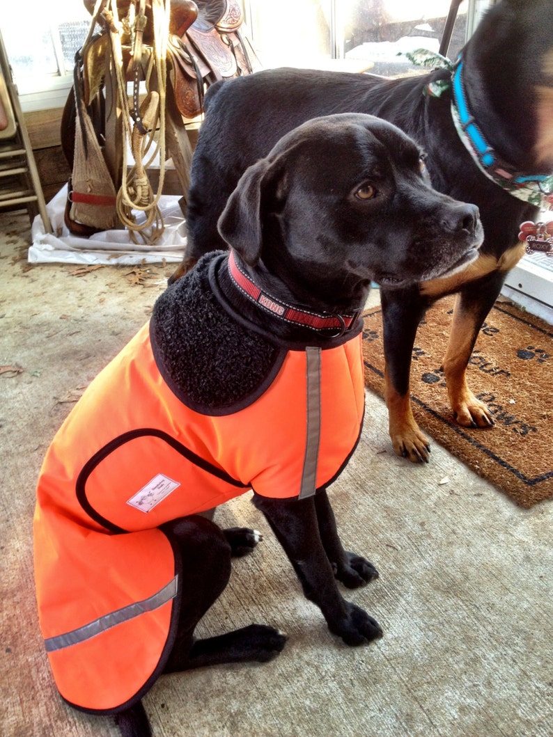 Dog Raincoatsranging From 25 Dollars to 55 Dollars Depending Etsy