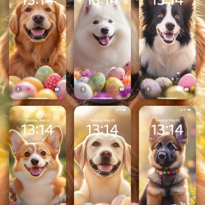 8 Adorable Puppy Phone Wallpapers For Dog Lovers · Cute Digital Dog Backgrounds for iPhone & Android · Home Screen · Lock Screen Gifts