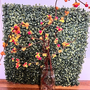 May include: A clear glass mason jar containing several thin, brown, branching stems adorned with small, bright yellow and vibrant pink berries. The stems are arranged in a cluster, with the berries distributed along the length of the branches.