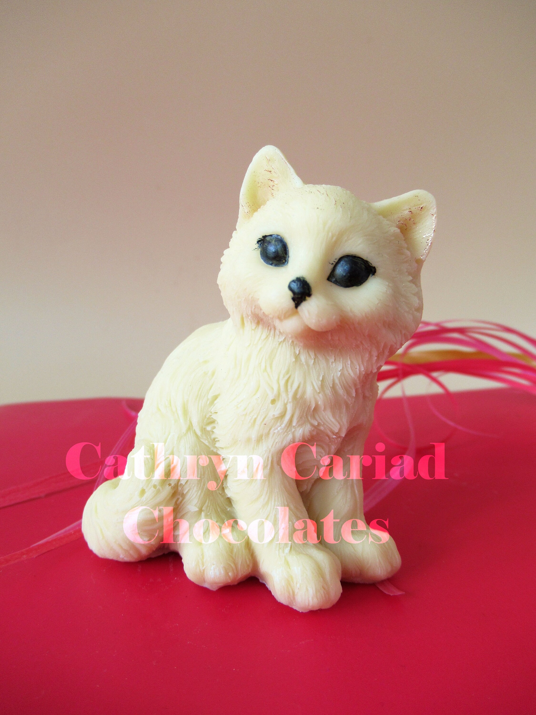 Chocolate Cat Kitten Cat Lover 3D model solid chocolate Etsy