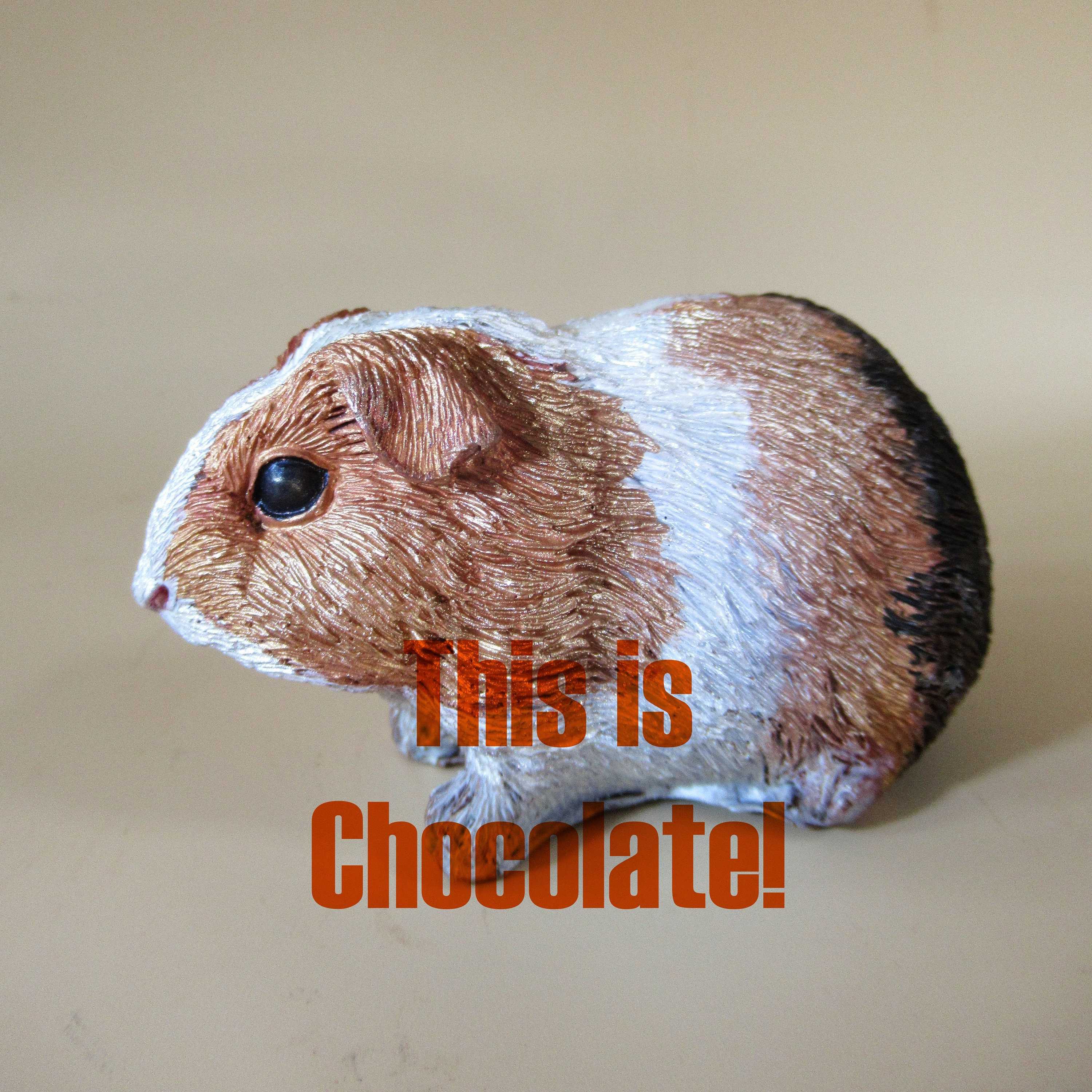 Dark Chocolate Can Hamsters Eat Chocolate Peanut Butter Can Dwarf