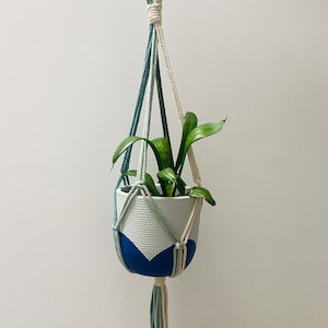 May include: A white and blue ceramic planter with a green plant hanging from a macrame plant hanger with white, blue, and green cords.