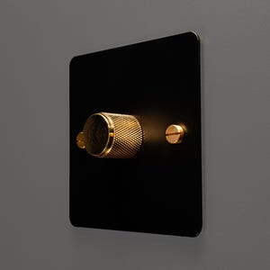 Könnte beinhalten: Eine schwarze Lichtschalterplatte mit einem goldfarbenen, strukturierten Drehknopf und einer kleinen, goldfarbenen Schraube. Die Schalterplatte ist an einer grauen Wand montiert.