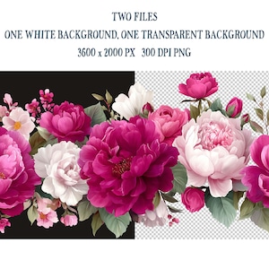May include: A digital floral illustration showcasing pink and white peonies and foliage. The image is split, with one half on a black background and the other on a transparent background. The text at the top indicates the image is 3600 x 2000 pixels.